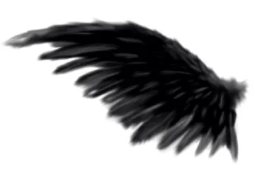 a black angel wing on a white background