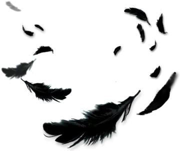 black feathers flying in the air