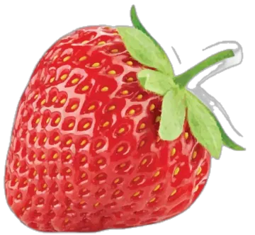a drawing of a strawberry with green leaves