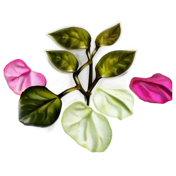 three different colored leaves on a white background