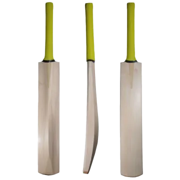 a pair of cricket bats on a white background