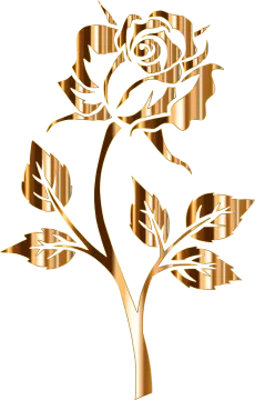 a gold rose on a white background