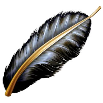 a black feather on a white background