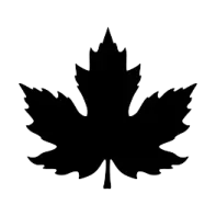 a black maple leaf on a white background
