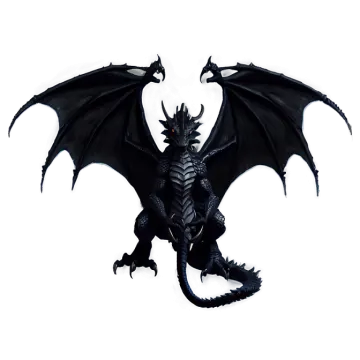 a black dragon on a white background