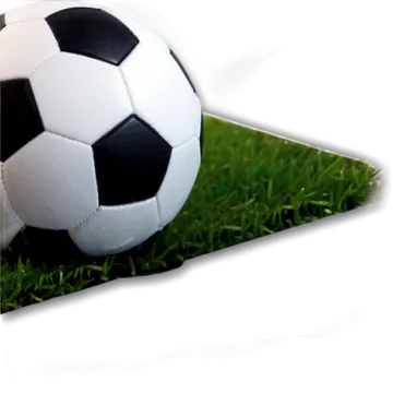 a soccer ball sitting on top of green grass