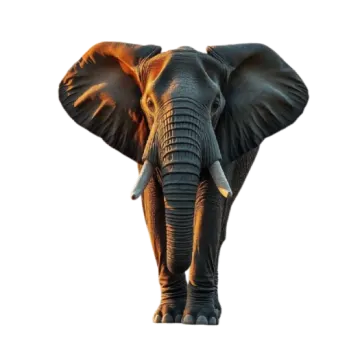 an elephant standing in front of a white background