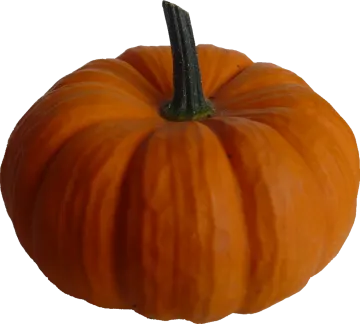 a small orange pumpkin on a white background