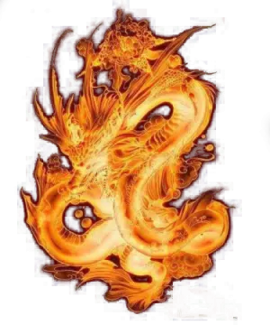 an orange dragon tattoo design
