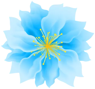 a blue flower on a white background