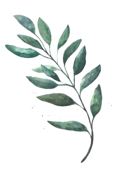 a watercolor painting of green leaves