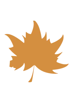 a brown leaf on a white background