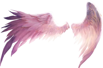 a pair of pink and purple wings