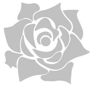 a black and white rose on a white background