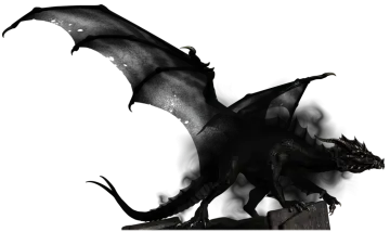 a black dragon flying through the air