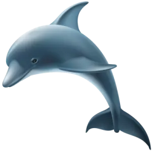 a dolphin jumping out of the water