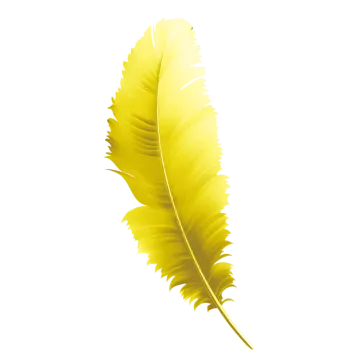 a yellow feather on a white background