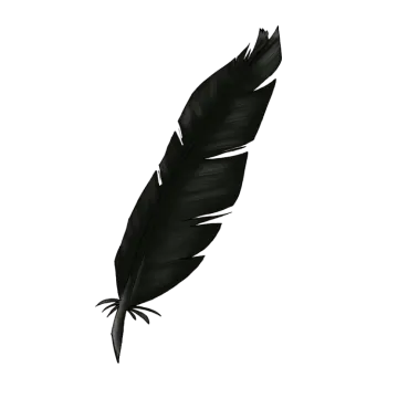 a black feather on a white background