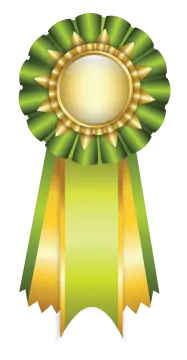 a green ribbon with a gold medal on it