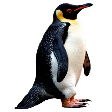 a close up of a penguin on a white background