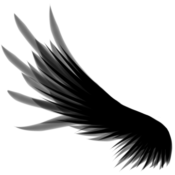 a black and white image of an angel wing
