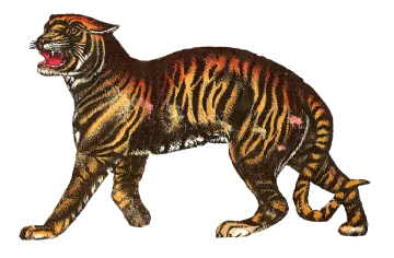 a drawing of a tiger with its mouth open