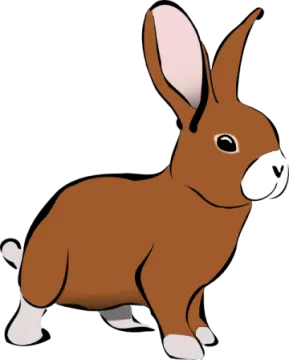 a brown rabbit on a white background