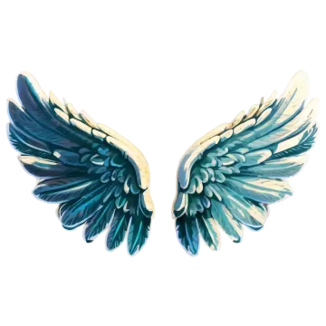 a pair of wings on a white background