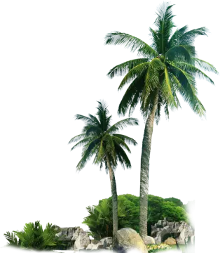 a small island with two palm trees