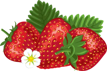 a bunch of strawberries on a white background