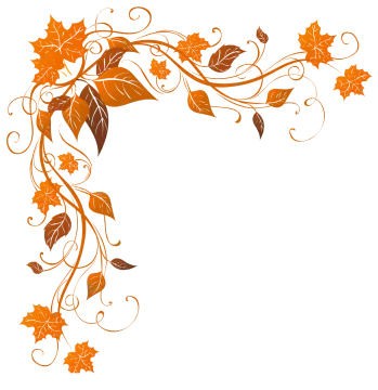 a floral frame with leaves and vines