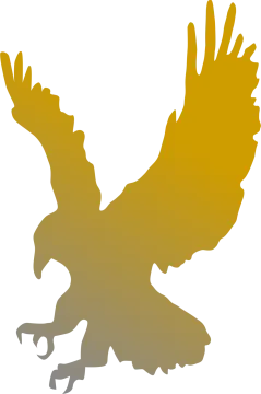 an eagle silhouetted against a white background