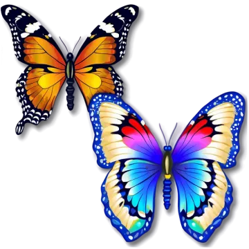 two butterflies on a white background