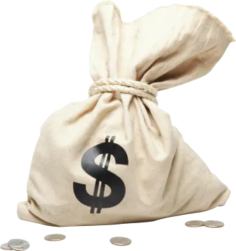a bag of money with a dollar sign on it