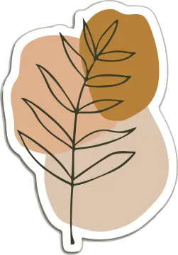 a brown leaf on a white background