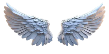 a pair of wings on a white background