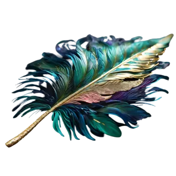 a colorful feather on a white background