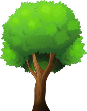 a green tree on a white background