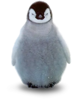 a small penguin sitting on top of a white surface
