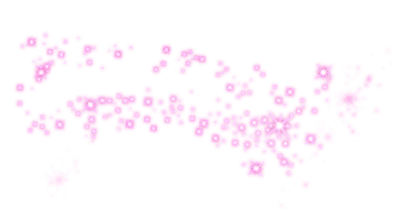 pink flowers on a white background