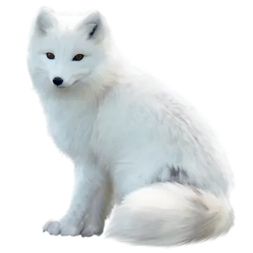 a painting of a white fox sitting down