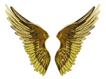 a pair of gold wings