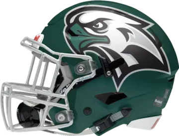 the philadelphia eagles football helmet