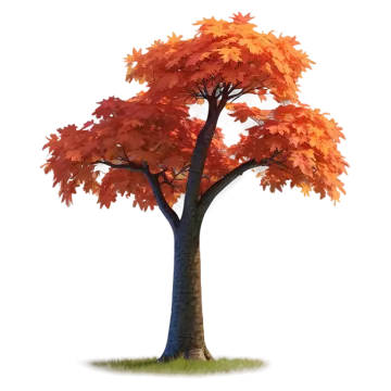 a tree with orange leaves on it