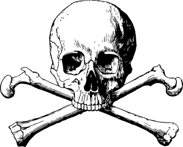 a skull and crossbones