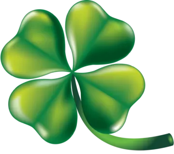 a four leaf clover on a white background