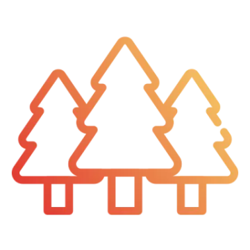 a line of trees in orange and white