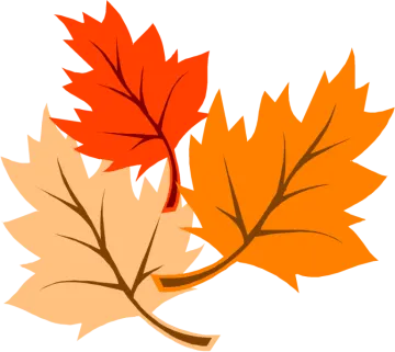 a pair of autumn leaves
