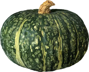 a large green pumpkin on a white background