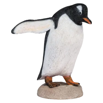 a black and white penguin standing on a rock
